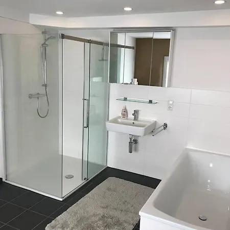 Ferienwohnung Felinenhof Apartment