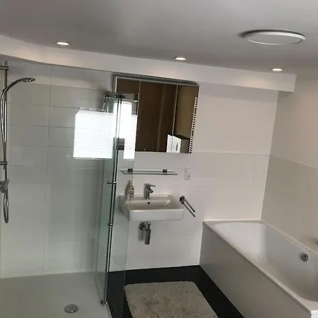 Apartment Ferienwohnung Felinenhof